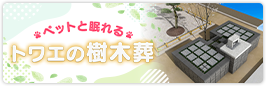 ペットと眠れる樹木葬